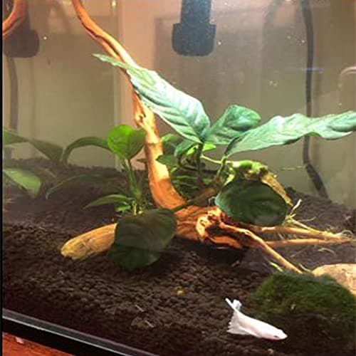 Emours Aquarium Driftwood Tropical Fish Plant Habitat Decor Varies Size, Small & Large,2 pcs Pack by Emours Pet