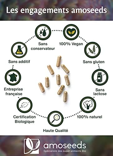 Détox Foie BIO | Puissant Détoxifiant, Draineur, Améliore la Digestion | Artichaut, Radis Noir, Pissenlit | 90 Gélules Vegan | Qualité Supérieure, Fabriqué en France