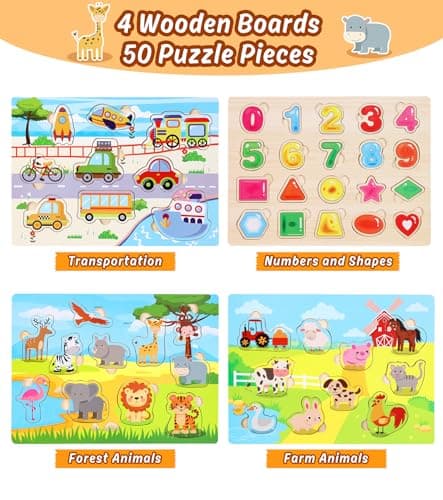 Gontence 4 Pièces Puzzle Enfant 2 3 Ans - Jouet Enfant 2 3 Ans - Puzzle Bois - Montessori 1 an - Jouet en Bois Fille Garcon