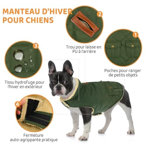 Queenmore Manteau Chien Petite Taille Manteau pour Chien Hiver Manteaux Chaud Imperméables pour Chiens Polaire Manteaux d'hiver pour Chiens Vetement Chien Chat Teckel Chihuahua, Vert, XS