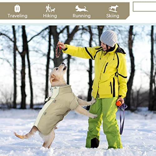 Manteau Chien Imperméable, Manteau pour Chien, Manteau Chien avec Fermeture à Glissière, Manteau Chien Hiver, Manteaux d'hiver pour Chiens, Pull pour ChienPour Chiens de Petite, Moyenne et Grande L