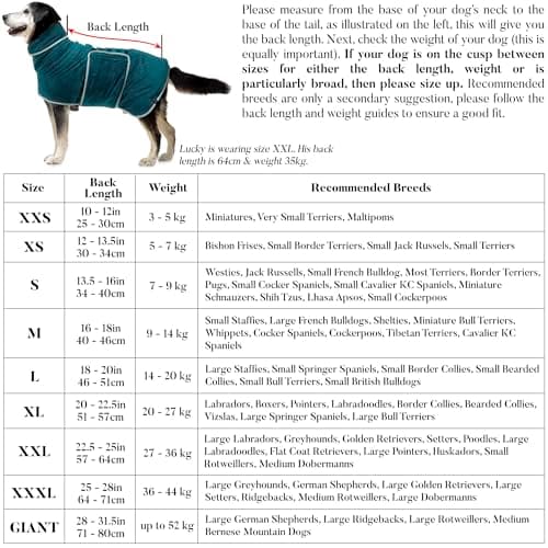 Lucky Paws® Peignoir Chien - Peignoir pour Chien à Double Couche - Peignoir Chien Super absorbante et Serviette pour Chien Ultra Douce en Un Seul Accessoire Chien Luxueux (M, Rose poudré)