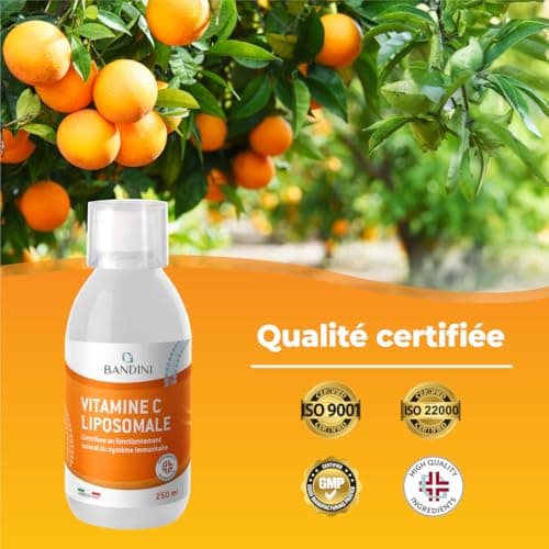 Bandini® Vitamine C Liposomale 1000 mg - Complément Liquide 250 ml - Dosage Puissant et Absorption Maximale - Système Immunitaire & Fatigue - 100% Vit C Acide Ascorbique Biodisponible - Vegan, Non-GMO