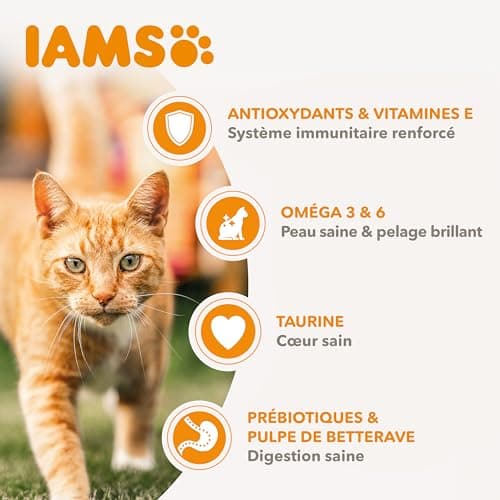 IAMS Croquette au Poisson pour Chat Adulte 10 kg