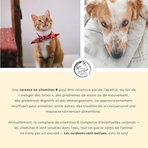 Vitamine B Complex 120 comprimés pour Chien et Chat : Vitamine B1, B2, B3, B5, B6, B9, B12 - Vitamines et compléments pour Chiens et Chats - Vitamine pour Chien - Vitamine Chat