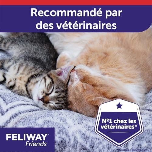 FELIWAY Friends – Anti Conflit pour Chat - Recharge 48 ml