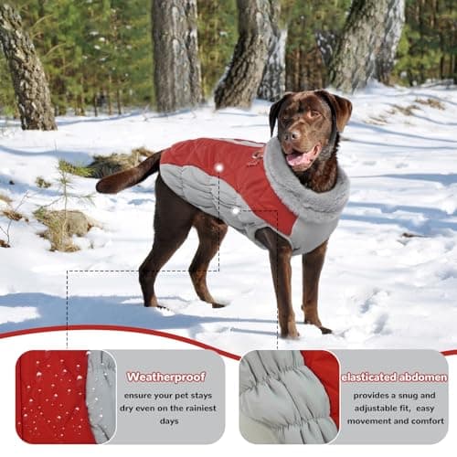 Hjumarayan Manteau Chien - Manteau Chien avec Harnais Réfléchissant Manteaux d'hiver pour Chiens Manteau Chien Imperméable, Manteau Chien Petite Taille Manteau Bouledogue Francais - Rouge M