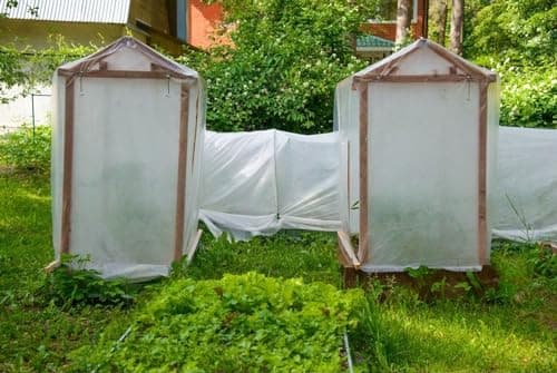 MAILEKT Bache pour Serre,Bache Plastique Transparente, Bache Serre Tunnel 3m x 3m, Film Polyéthylène de Extra-épais Clair Jardin Grandir Couverture De Polytunnel pour Légumes und Tomate