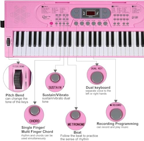 Hricane 61 touches clavier de Piano avec Microphone Piano Note autocollant alimentation support de musique électronique numérique clavier cadeau pour débutant garçons filles