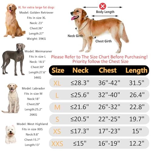 Mile High Life | Imperméable pour Chien | Vêtements Ajustables imperméables pour Animaux de Compagnie | Veste de Pluie légère avec Bande réfléchissante (Jaune, M)