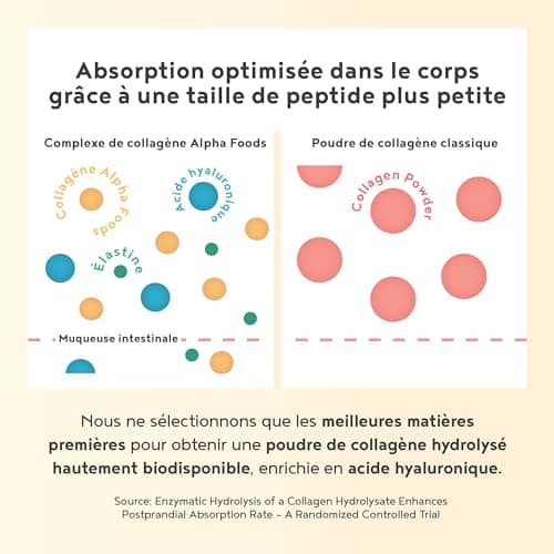 Collagene Poudre [400gr] | Collagen Peptides (Type I, II & III) | Vitamine C + E + Guarana + Acide Hyaluronique | Collagène Hydrolysé en Poudre pour Articulations, Ongles & Peau | Citron | Alpha Foods