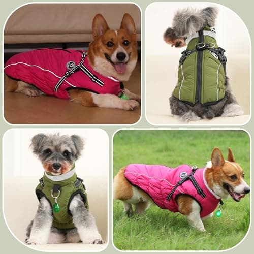 HezzLuv Manteaux d'hiver pour Chiens, Manteau Chien Imperméable, Manteau Chien avec Harnais, Bandes Réfléchissantes, Collier à LED, Vestes d'hiver pour Petits et Moyens Chiens (Vert, Taille XL)