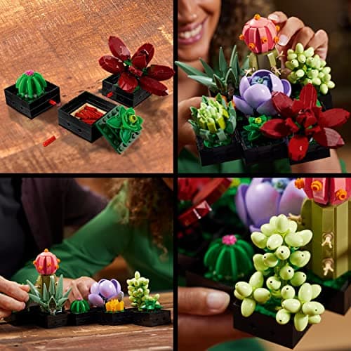LEGO 10309 Icons Les Succulentes: Plantes Artificielles, Décoration de Maison, Collection Botanique, 9 Petites Plantes, Idéal pour Intérieur, Modèle de Plantes pour Adultes