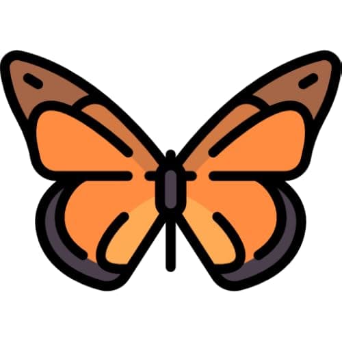 Butterfly Collection BN