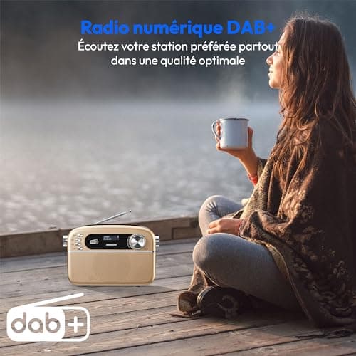 MEDION E66809 Dab Plus Radio Solaire Portable (Design rétro, Panneau Solaire, Bluetooth, Dab+ FM, Batterie intégrée, Port USB, AUX, minuteur de Mise en Veille, antenne télescopique) cuivre