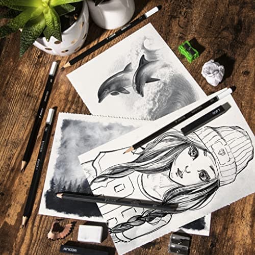 Kit de Dessin Complet - Debutant ou Professionnel - 19 accessoires : 8 Crayon Papier, 3 Crayons Charbon, 1 Graphite, 3 Bâtons Charbon, Carnet de Dessin 100 Pages - Cadeau Artistes Tous Niveaux