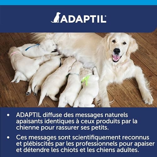 ADAPTIL Calm – Anti-stress pour chien – Collier Moyens et Grands Chiens – Taille M/L