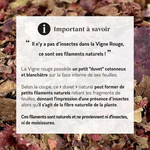 MY ORGANIC INFUSION - Vigne Rouge BIO en feuilles coupées - Pour Tisanes circulatoire et Infusions Bien-Être - Pour Recettes Maisons - Sélection De Premier Choix - Vitis Vinifera - 50 g