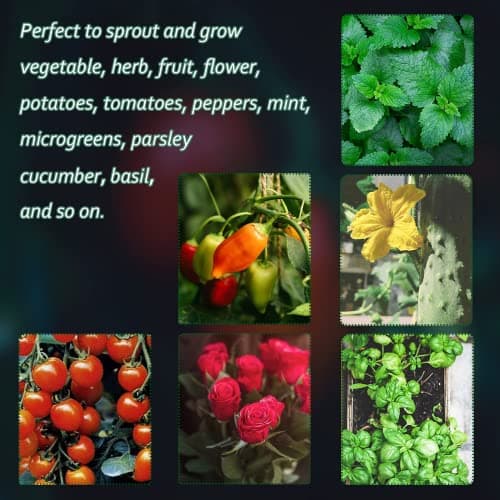10 Pièces Mini Serre pour Plantes,120 Trous Bac à Semis Biodegradable Pot,Boîte de Culture avec Couvercle et Ventilation Durables,Plateaux de semis Kit de démarrage,Plateau de Semis Hydratant