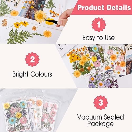 5 Paquets de Fleurs Séchées Naturelles, 96 Pcs Fleurs Sechees et Feuilles Séchées Naturelles, Bricolage Fleurs Pressées Séchées Naturelles Decoration pour Carte Scrapbook Art Décors Artisanat
