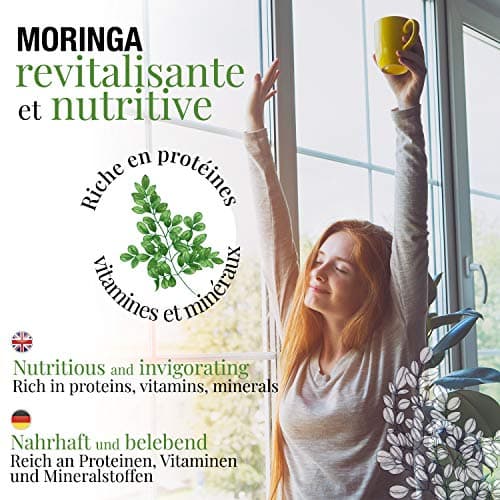 ORIGEENS INFUSION BIO 100g, MORINGA FEUILLES SECHEES The en vrac sans théine, Tisane Revitalisante