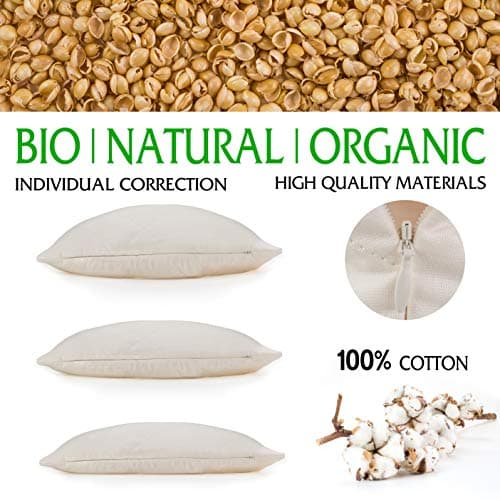 Oreiller Cervical Millet BIO Dream & Dreams, Coussin naturel 30 x 40 cm