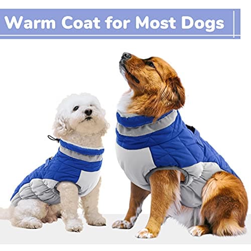 CITÉTOILE Manteau Chien, Manteau pour Petit Chien avec Harnais, Manteau d'hiver pour Chiens Imperméable et Coupe-Vent, Réfléchissant Vetement Chien pour l'hiver pour Teckel, Bouledogue,Chihuahua