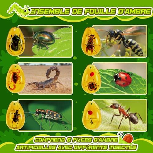 Jouet Garcon 6 7 8 9 10 Ans, Geebiiny Fossil Experiences Scientifiques Enfants Cadeau Garcon 5-12 Ans Pierre Precieuse Kit Exploration Enfant Jeux Garcon 6-11 Ans Kits Éducatifs de Sciences