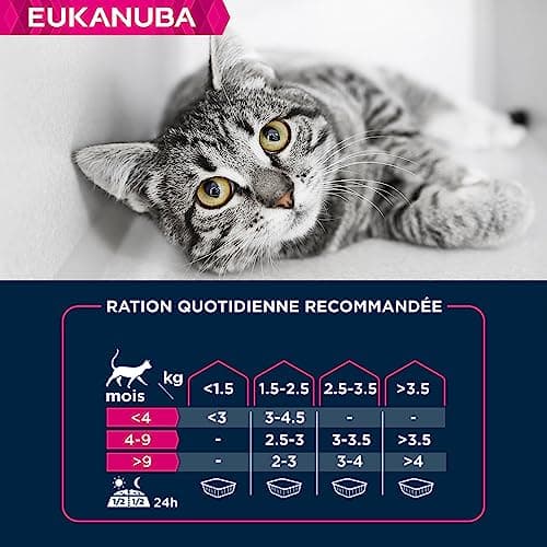EUKANUBA Grain Free pour Chaton - Pâtée Premium SANS CEREALES – Sans gluten – Faible teneur en graisses - Riche en Agneau et enrichie en Taurine – 12 barquettes aluminium de 85 g
