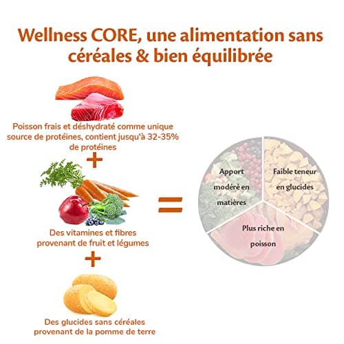 Wellness Core Ocean, Croquettes pour Chien de Grande et Moyenne Taille, Naturelles et Sans Céréale, Saumon/Thon, 10 kg