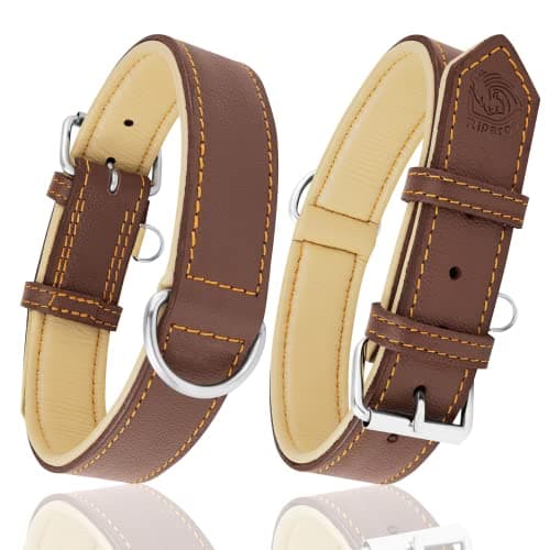 Riparo Collier pour Chien en Cuir véritable (Marron, L: 3,8 cm de Large pour 45,7 cm - 53,3 cm de Cou)