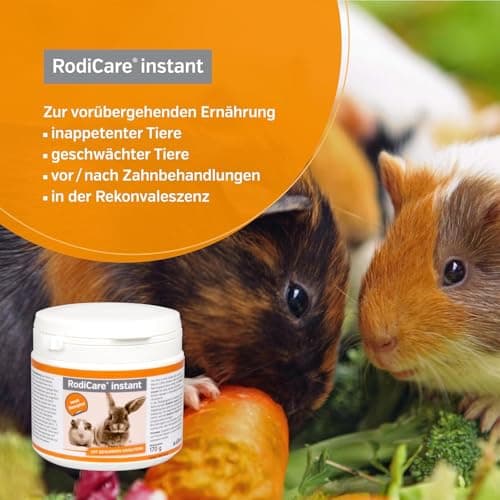 alfavet RodiCare instantané Aliment pour Petits Lapins Nains, cochons d'Inde et Petits rongeurs affaiblis et sans appétit, 2 kg de Poudre avec cuillère doseuse