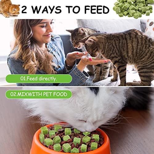 Collations pour Chats Herbe à Chat, 60g Snack pour Chat Lyophilisé pour Le Nettoyage des Dents