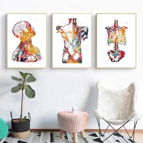 Lot de 3 posters d'anatomie - Motif cœur et cerveau - Poster d'anatomie humaine - Pour hôpital - Art mural - Sans cadre - B, 50 x 70 cm x 3
