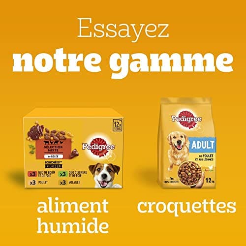 Pedigree Multivitamines Digestion Compléments Alimentaires pour Chiens - Friandises avec probiotiques, Sachet de 36x180g, Récompenses Qui aident au Maintien d'une Bonne Digestion, Facile à Manger