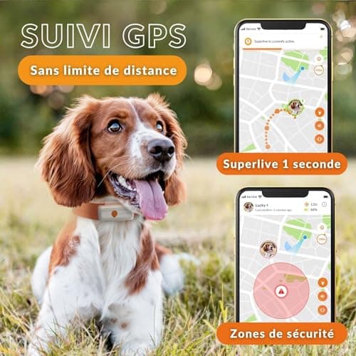 Weenect Chien XS - Nouveau GPS pour Chien | Mini Traceur GPS pour Chien en Temps réel | Etanche | Plus Petit modèle du marché | Fonctionne avec abonnement | Garantie à Vie