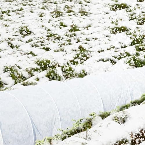 Trlyane Voile d'Hivernage pour Plantes Exterieur 2m x 5m, Non-tissée de Protection Hivernale, en Tissu Non Tissé 30 g/m2, Protège Les Plantes, Fleurs et Légumes du Froid, du Gel et du Vent