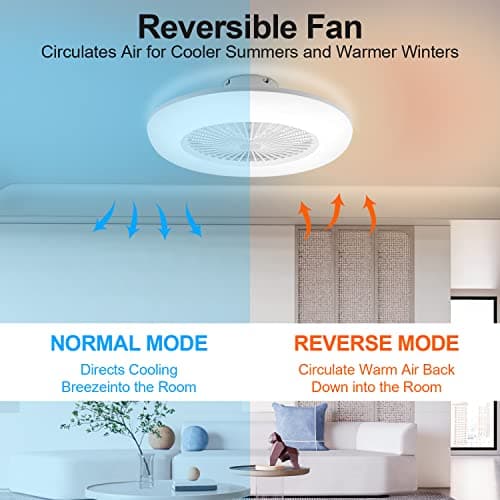 Hebitod 80W Ventilateur de plafond avec éclairage, LED Fan Plafonnier avec Télécommande et APP, Mode été Hiver, 6 Vitesses de Vent, Température de Couleur Réglables, Timing, Pour Salon Salle