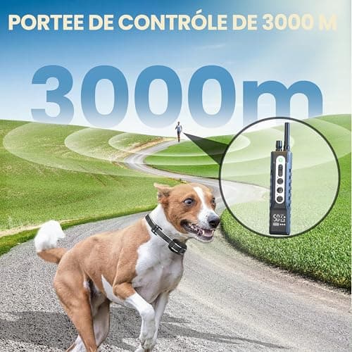 BULIFE Collier de Dressage pour Chiens, 1-50 Niveaux de Vibration, Portée 3000m avec Télécommande, étanche IPX67, 3 Modes : Super Vibration/Bip/Vibration,Rechargeable, pour Chiens de 3 à 55kg (1)