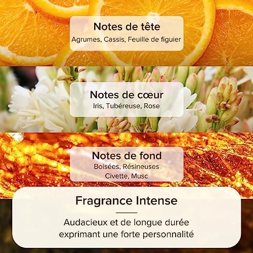 Recharge de Désodorisant de Voiture Ceeniu CF9, Lot de 3, Longue Durée (6 Mois) Parfum Naturel Français