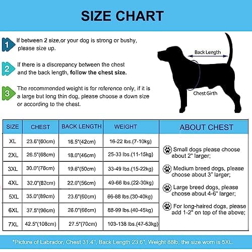 Yeapeeto Body Chien Post Operatoire Combinaison de Convalescence chirurgicale pour Chiens de Grande Taille et Moyenne (Gris,2XL)