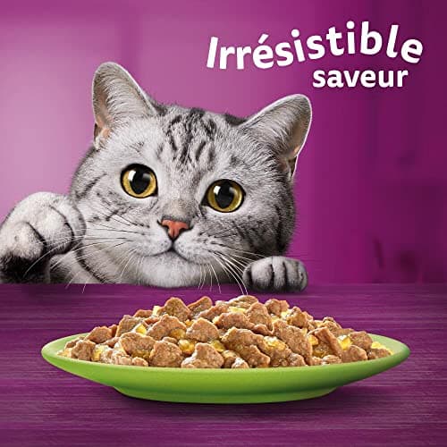 WHISKAS Repas - 48 Sachets Fraîcheur - La Carte Mixte (4 variétés) - Pâtée pour Chat Adulte en Gelée – Nourriture Humide Complète & Equilibrée, Adaptée aux Chats Stérilisés