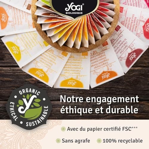 Yogi Biologique Défenses Immunitaires, Infusion 100% Bio Échinacée, Jus d'Acérola séché et Orange, 15 Sachets thermosoudés et sans agrafe, 24 g, 311016