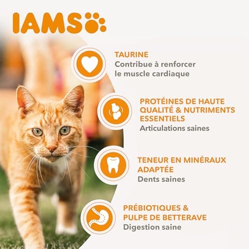 IAMS Croquettes Poulet Frais pour Chat Sénior 1.5 kg