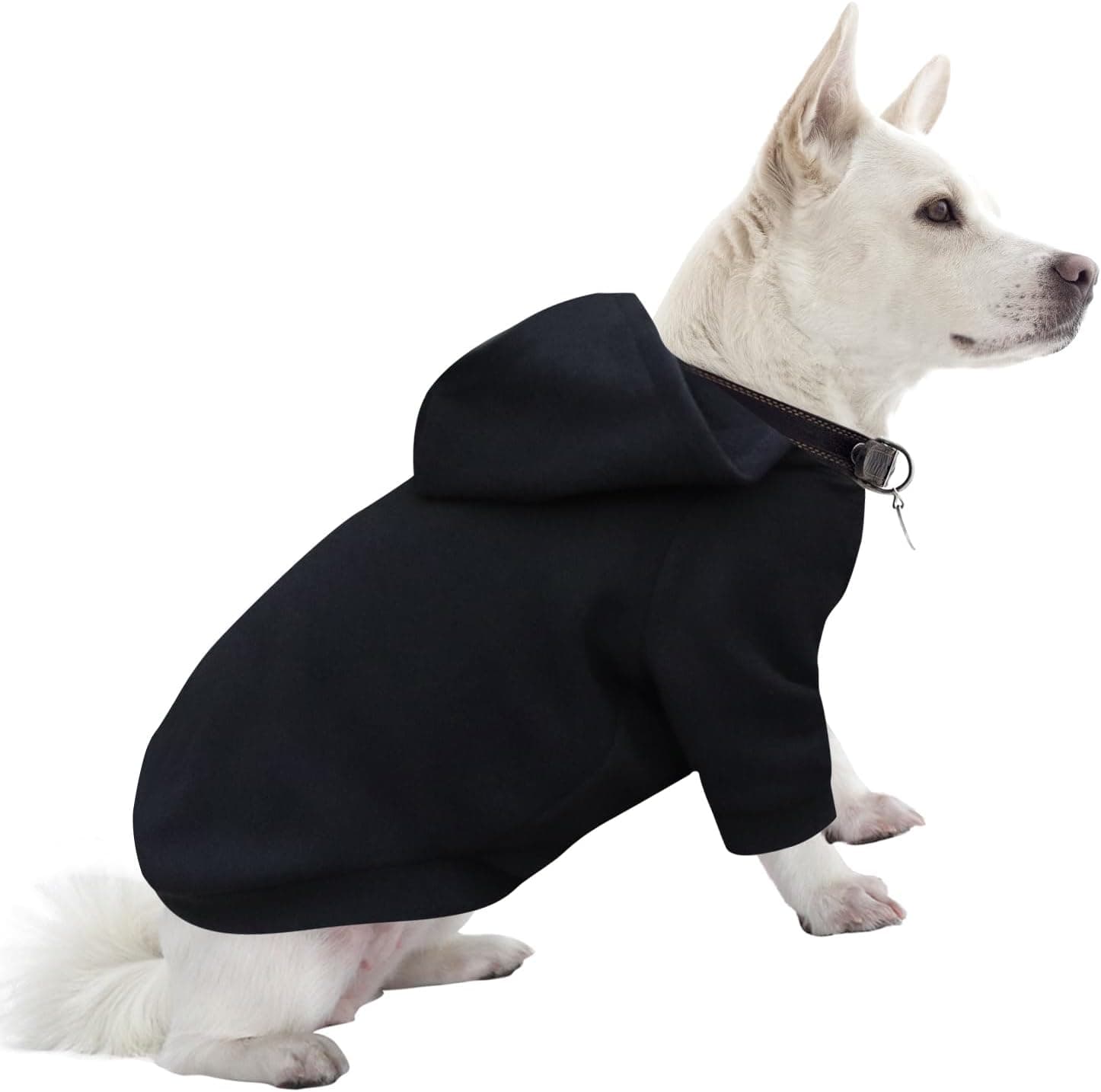 Sweat à capuche pour chien chaud et léger, avec une texture douce, élasticité, facile à porter et couleurs vives (noir, S)
