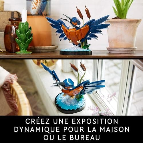 LEGO Icons Le Martin-pêcheur, Modélisme Maquette Adultes pour Les Amoureux de la Nature - Loisir Créatif pour Hommes et Femmes - Idée Cadeau pour Décoration de la Maison ou du Bureau 10331