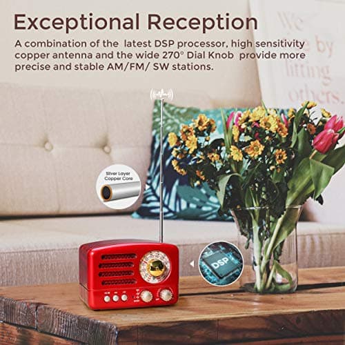 PRUNUS J-160 Poste Radio Portable Vintage Bluetooth Rechargeable 1800 mAh