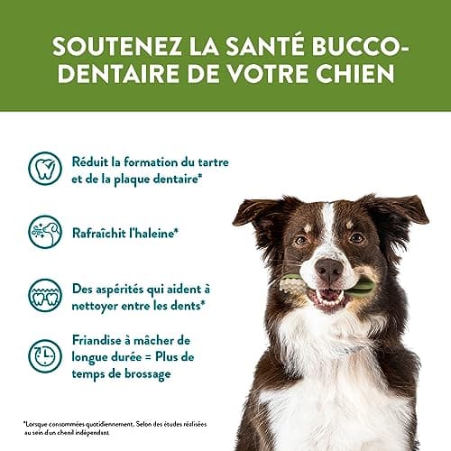 WHIMZEES by Wellness, Friandises Naturelles pour l'Hygiène Bucco-Dentaire à Mâcher pour Chien de Taille Moyenne, Boîte de Variété, Taille M, Boîte de 28 Pièces
