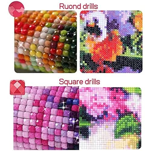 hadefa Kit de peinture diamant personnalisée, photo 5D à faire soi-même pour adultes, kit de peinture strass, peinture avec strass, perceuse carrée (20 x 20 cm)