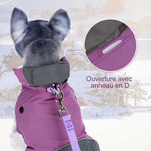 PETLOFT Manteau Chien Hiver, Imperméable Réfléchissant Coupe en Plein Air Polaire Veste Manteau de Pluie pour avec Doublure en Molleton Détachable
